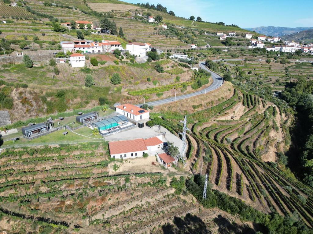 Quinta